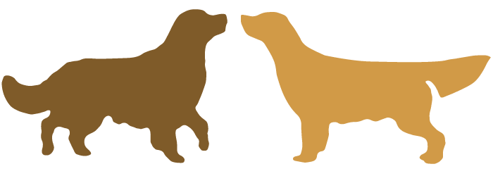 Logo Golden Retriever Lar de Casanova